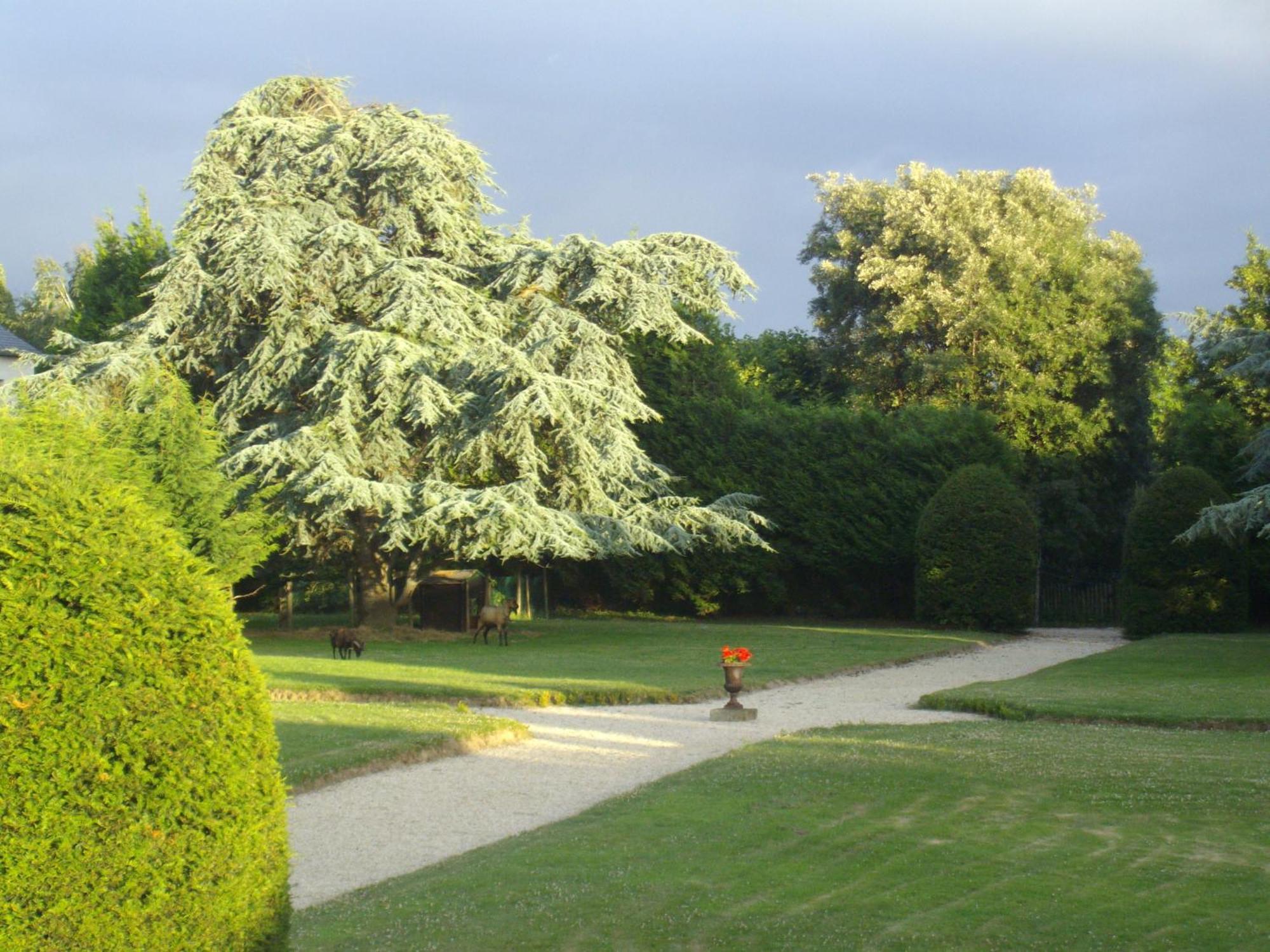לינה וארוחת בוקר סן מלו Manoir De La Baronnie מראה חיצוני תמונה